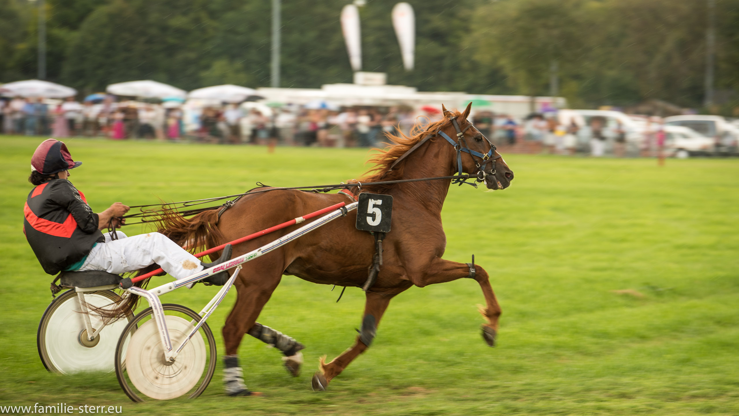 Trabrennen in Erding 2017